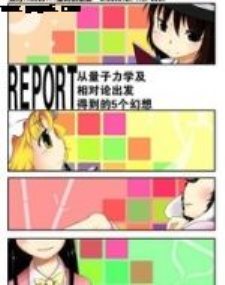 REPORT