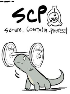 �����׶���SCP