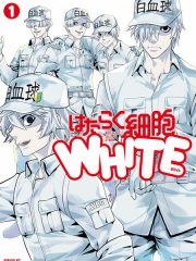 ����ϸ��WHITE