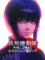 ���ǻ����� SAC_2045 ��ʽVISUAL BOOK