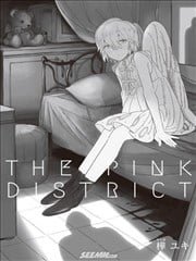 THE PINK DISTRICT