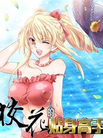 校花的贴身高手漫画
