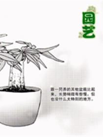 园艺漫画