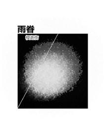 雨眷海报