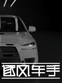 逐风车手海报