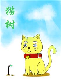 猫树海报