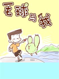 毛球与我海报