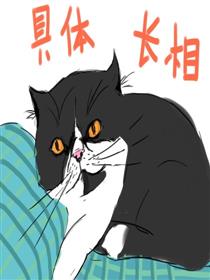 我和一只猫漫画