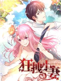 狂拽小妻漫画