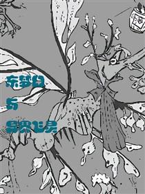 东梦幻与异界飞灵漫画