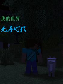 我的世界：无序时代海报