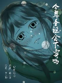 今年圣诞会下雪吗海报