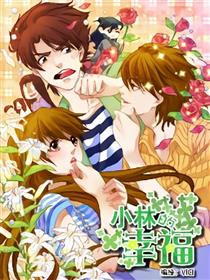 小林的幸福海报